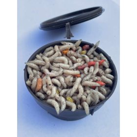 Csonti Mix ( Olasz vagy Lengyel )